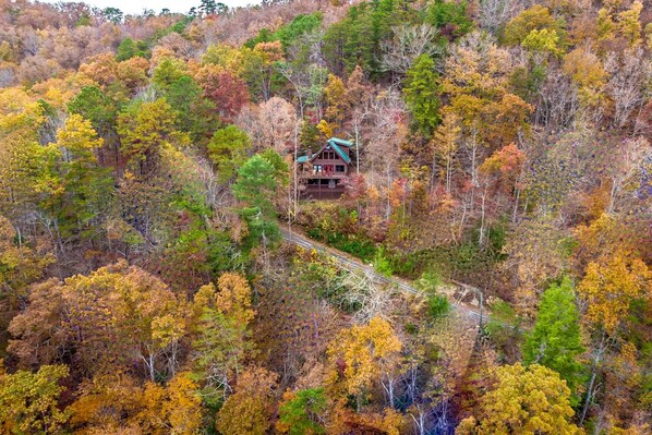 Eine Hütte, umgeben von einem Wald im Herbstlaub.