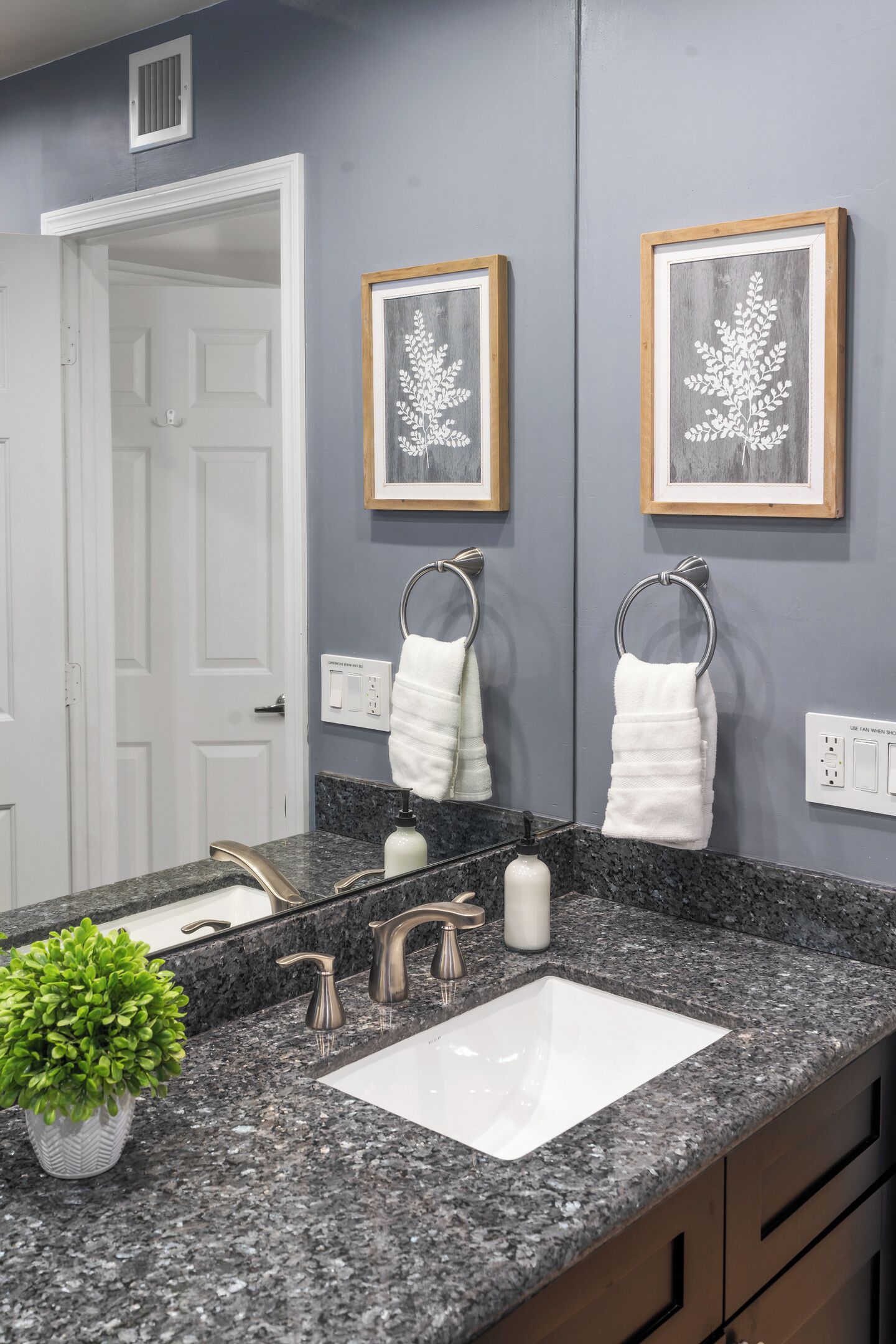 A bathroom with a double sink, two towel rings, a potted plant, and framed artwork on the wall.