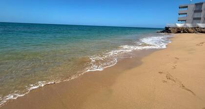 Ocean View 2-bedroom 2- bathroom apartment with AC in Rincon