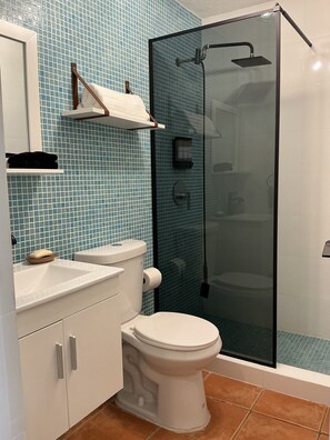 Bathroom - Ocean View 2-bedroom 2- bathroom apartment with AC in Rincon (Rincon)