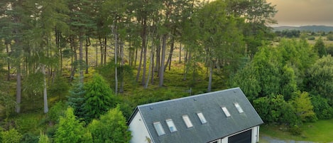 Una casa con garaje, rodeada de un bosque denso.