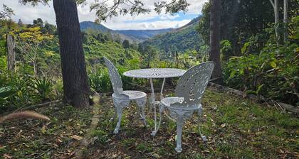 Self contained rooms in a relaxing farm, lots of views.
Pet-friendly