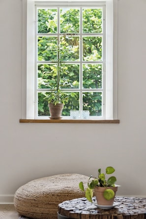 Ventana con vista a follaje, planta en maceta en el alféizar y un taburete redondo tejido.