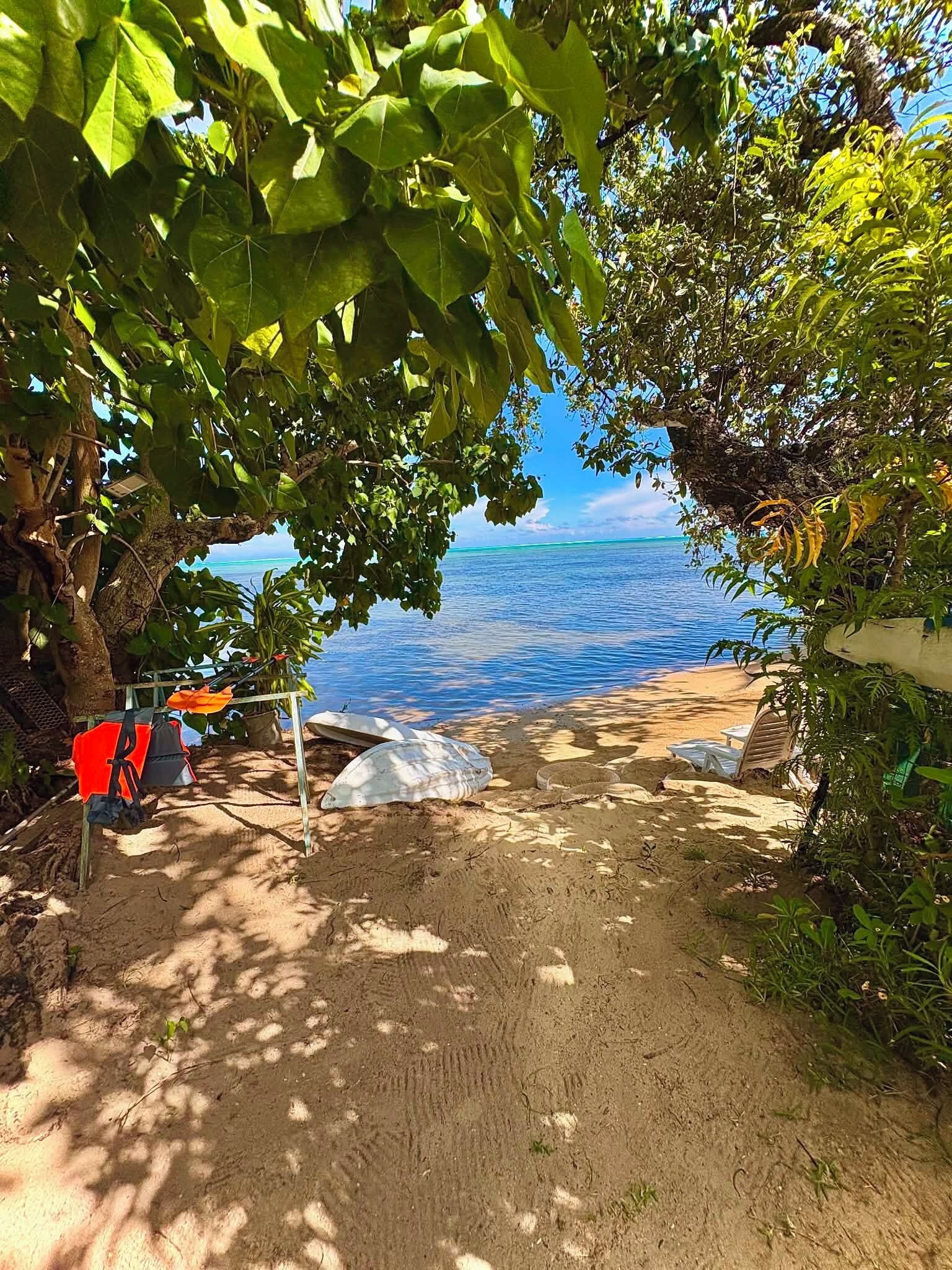 A beach with a sandy path leading to the water, surrounded by greenery and a clear view of the ocean.