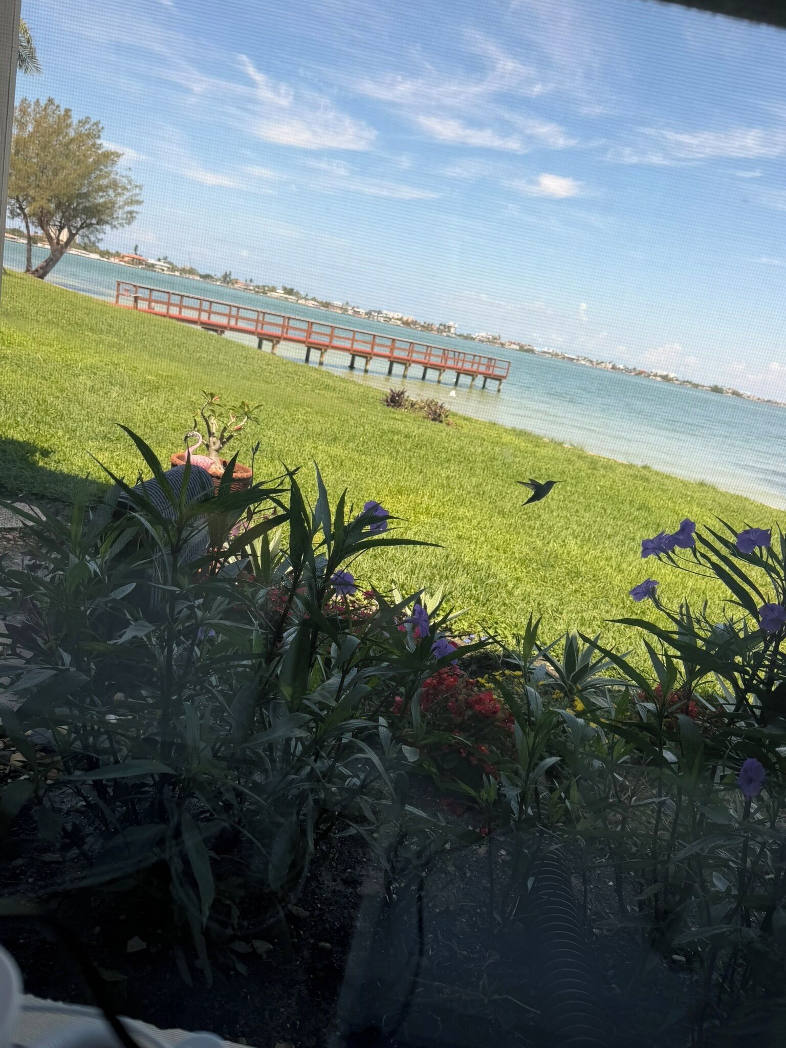 Eine Grünfläche mit Blick auf ein Gewässer und eine rote Brücke.