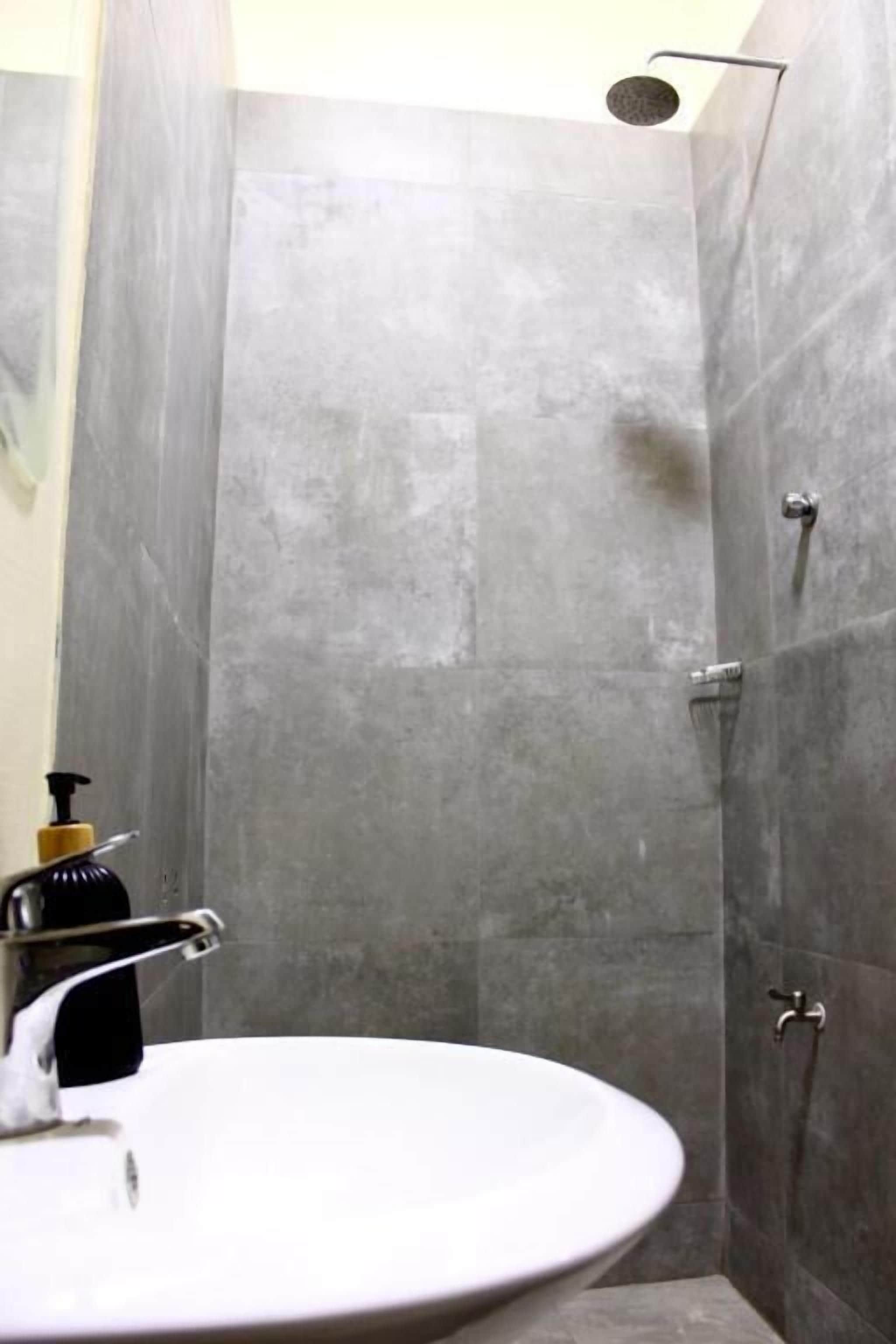 A bathroom with a white sink, a handheld showerhead, and a towel rack.
