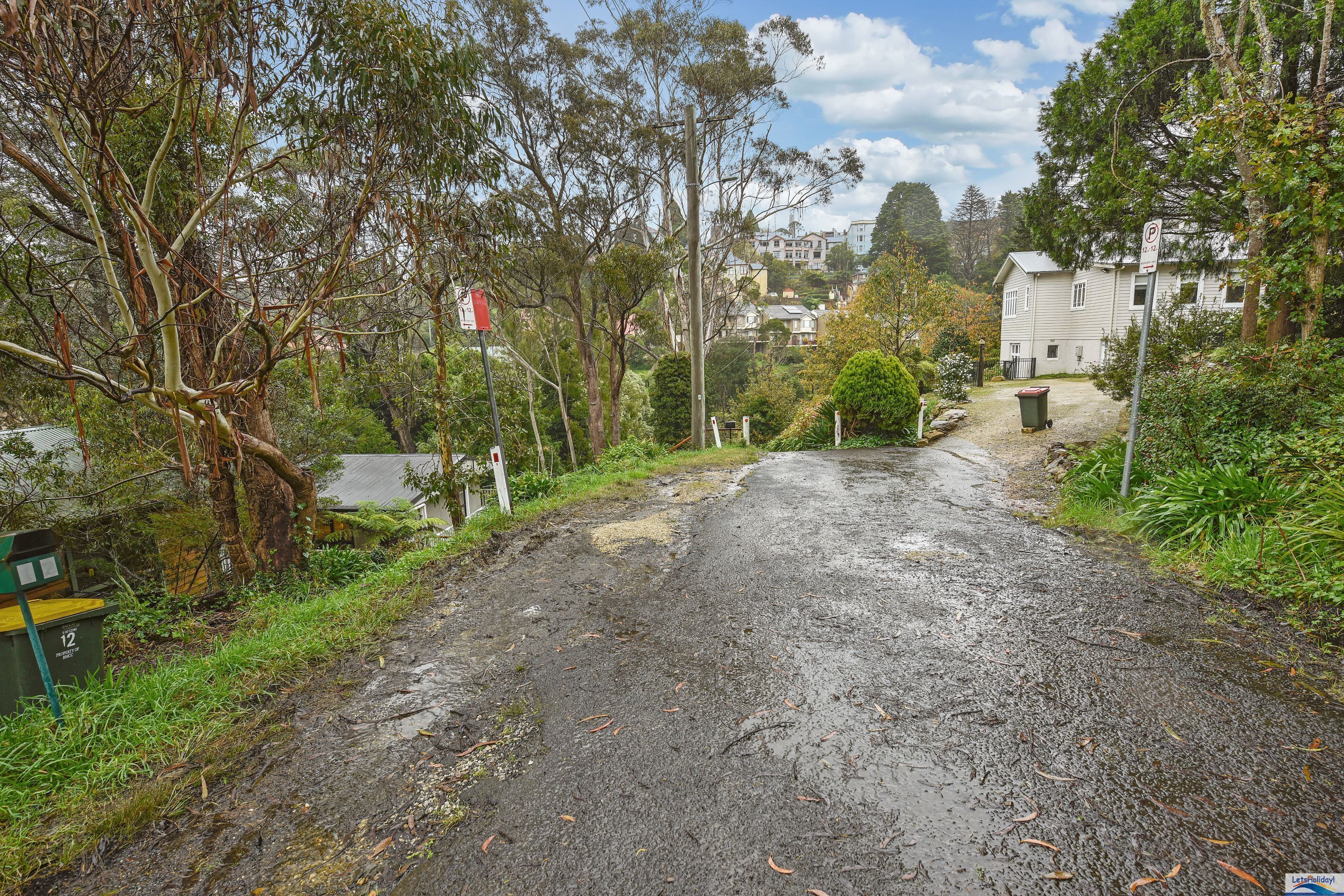 A gravel driveway leading to a residential area with houses and trees.