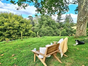 An outdoor seating area with a wooden bench, a table with a cup and a plate, and a dog lying nearby. - Wildberry Cottage - Modern Country Escape (Hamurana)