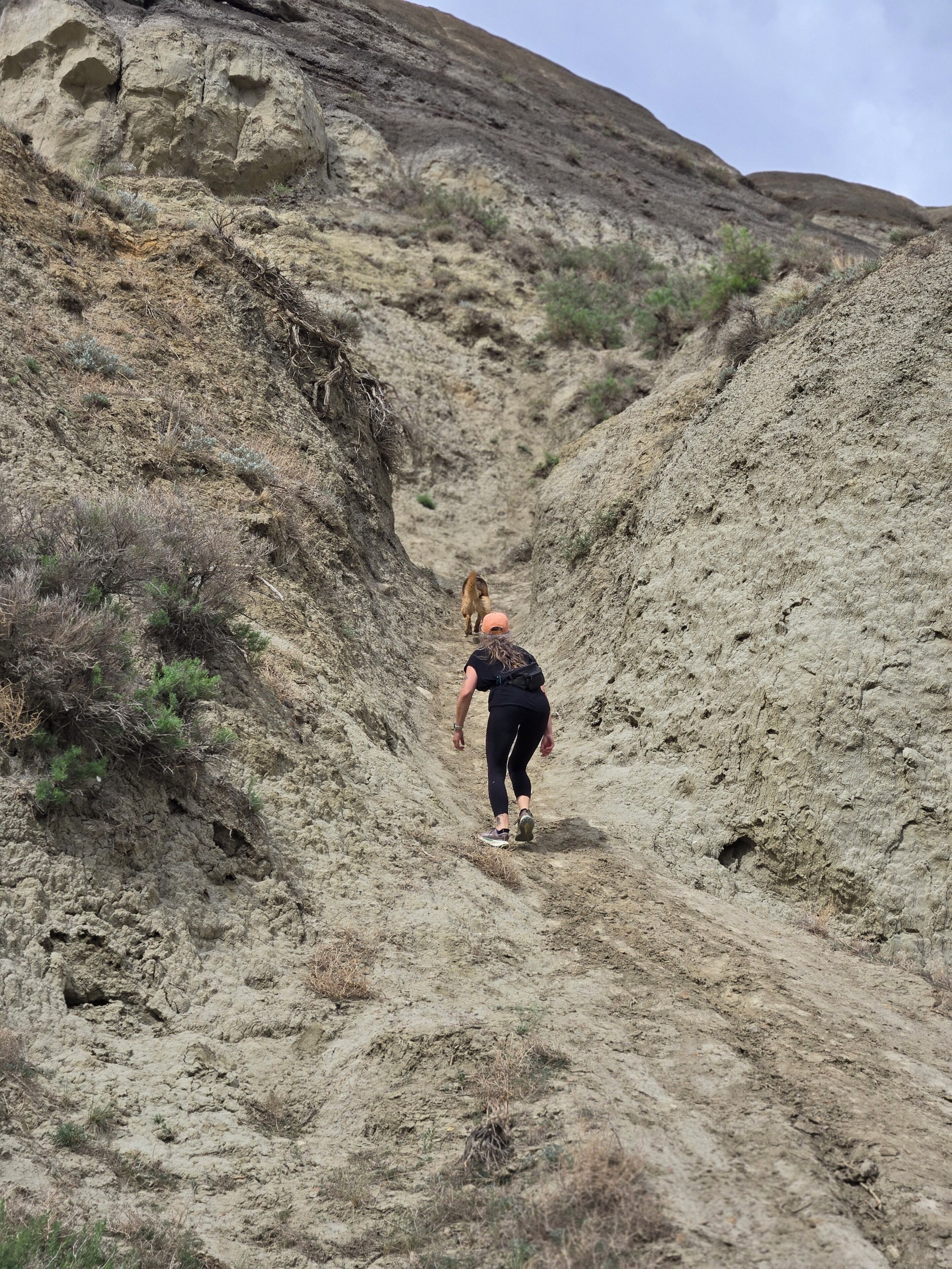 Une personne marchant sur un sentier rocailleux où la végétation est clairsemée.