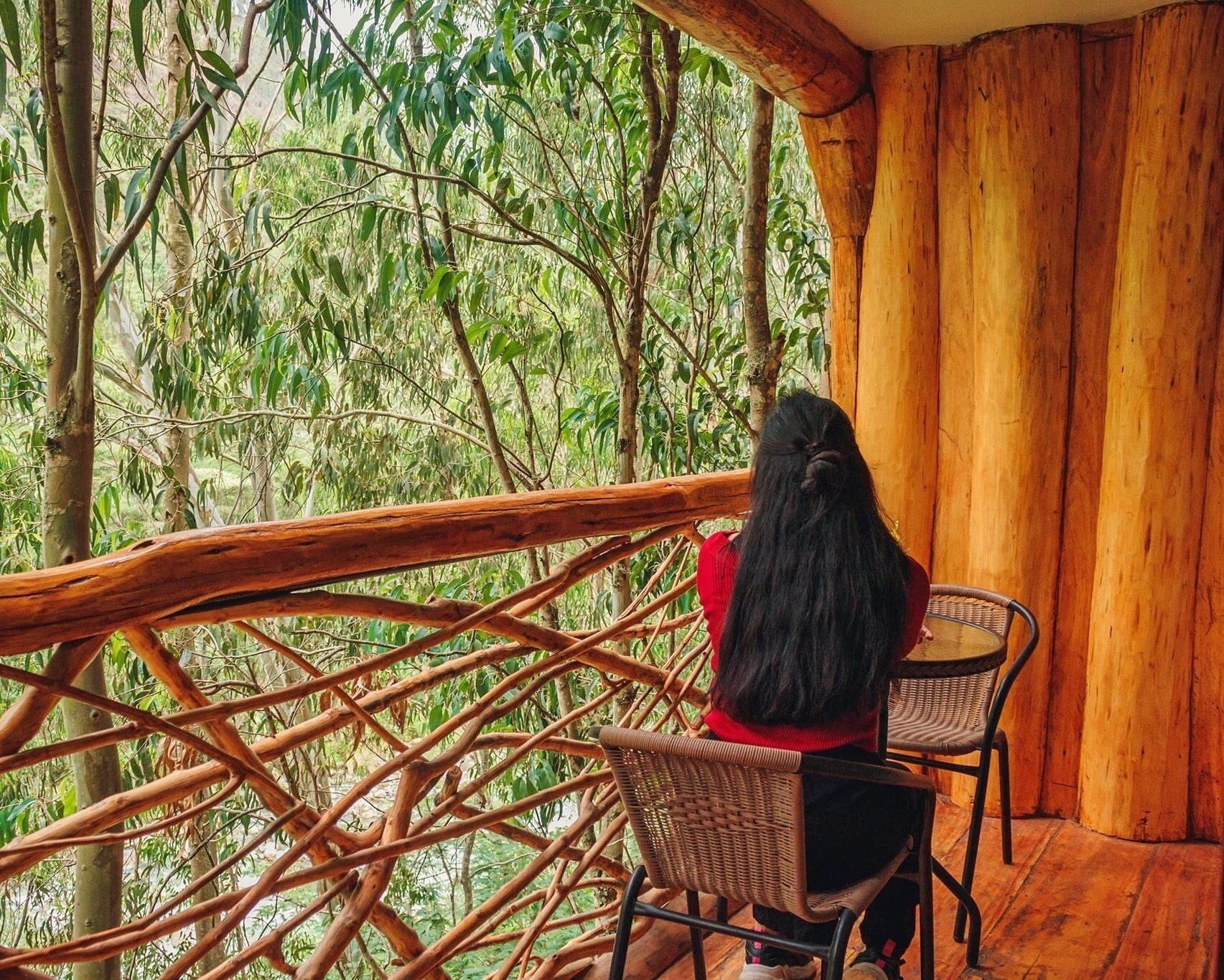 A person seated at a table on a wooden deck with a view of a forest.