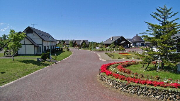 A residential street with houses, a clear sky, and a flower bed.