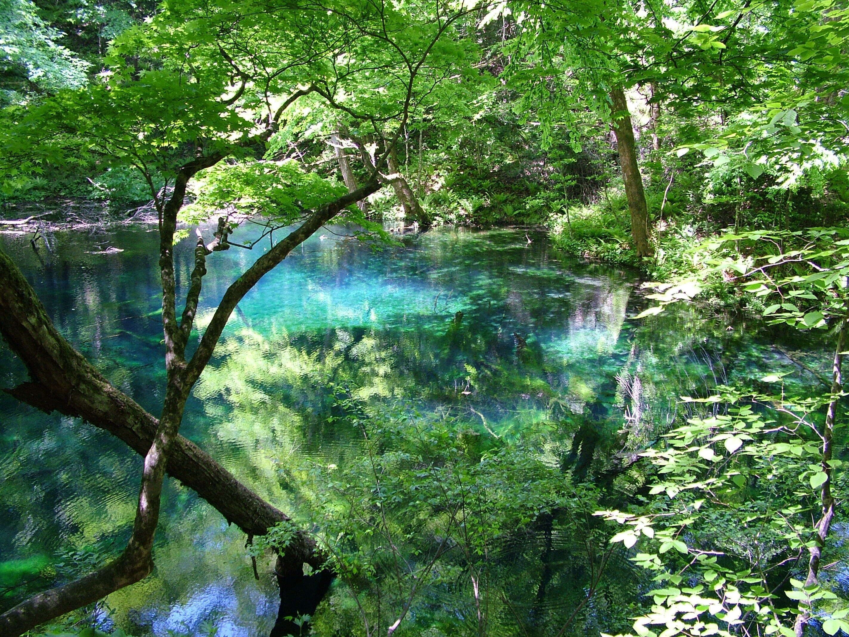 Un paisaje natural con una masa de agua cristalina rodeada de abundante vegetación.