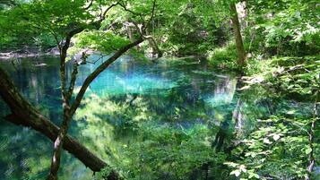 Un paisaje natural con una masa de agua cristalina rodeada de abundante vegetación.