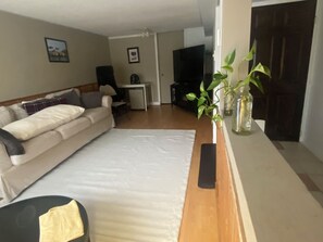 Una sala de estar con un sofá, una mesa de centro, un televisor y una planta.