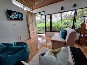 Una habitación con televisión, sofá, sillón de mimbre y vistas a la vegetación a través de amplias ventanas.