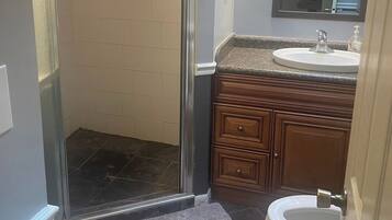 A bathroom with a glass shower enclosure, a sink with a mirror above it, and a toilet.