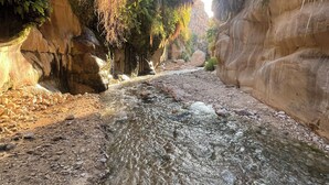 منوع