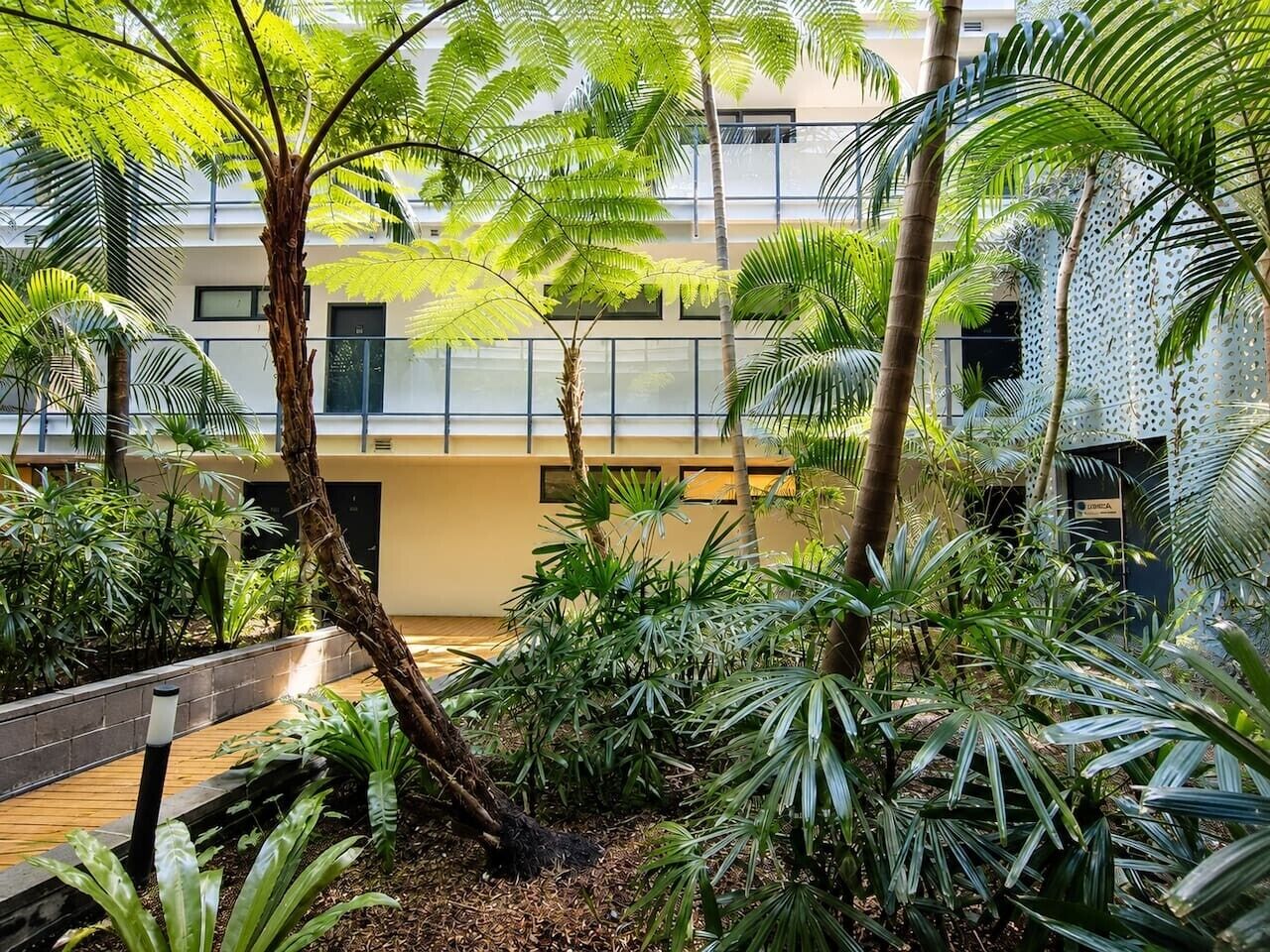 A courtyard with a wooden deck, palm trees, and a building with a balcony.