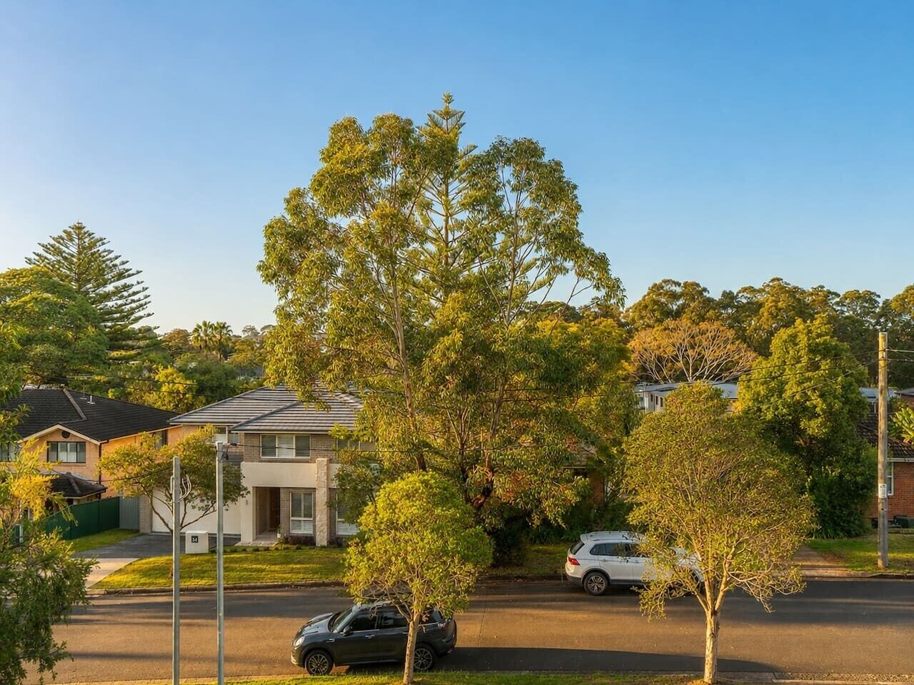 A residential street with houses, a large tree, and parked cars.