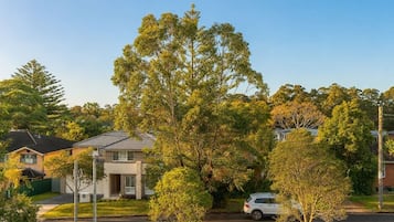 A residential street with houses, a large tree, and parked cars.
