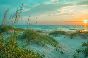Ein Strand mit Dünen und Gras.