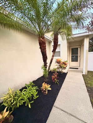 A pathway leading to a building with a door and windows, flanked by palm trees and various plants. - Quiet &Convenient, Close to Tampa’s Top Destinations  (Seffner)