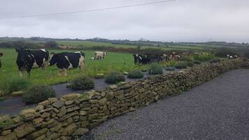 A rural landscape with a stone wall and a gravel path.