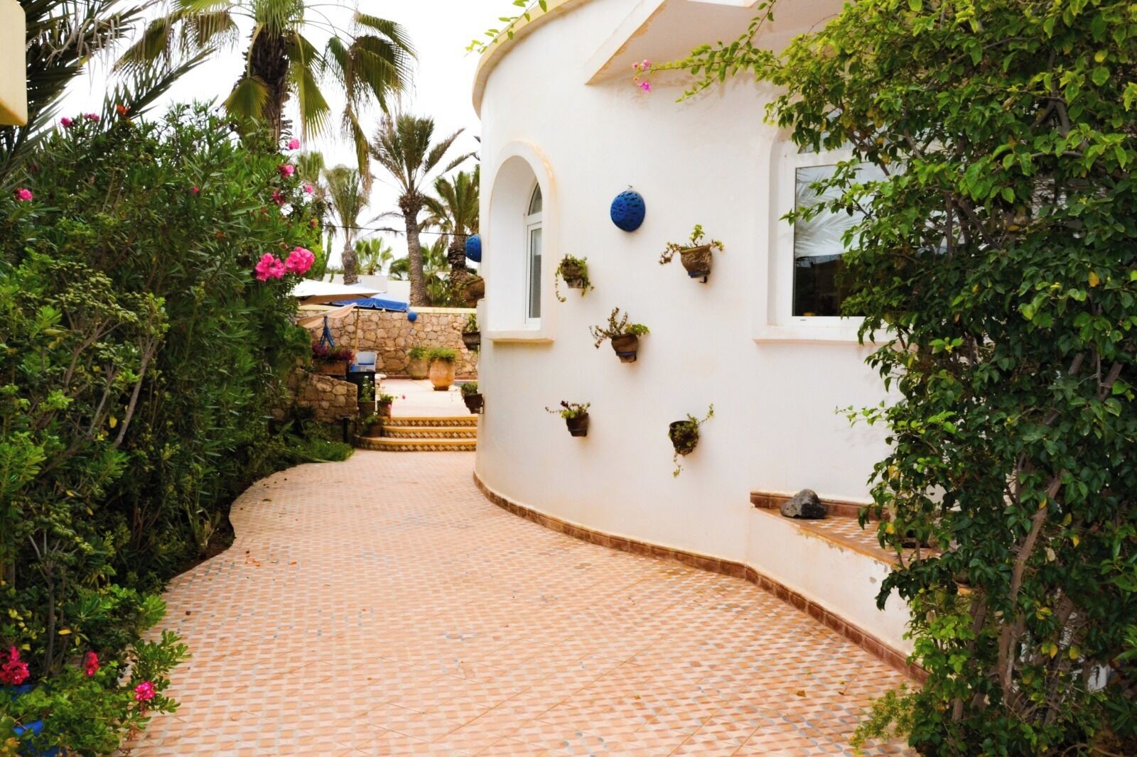 A curved pathway leading to a white building with a stone staircase, surrounded by lush greenery and potted plants.