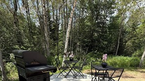 Een buitenbarbecueplaats met een tafel en stoelen, omgeven door bomen.