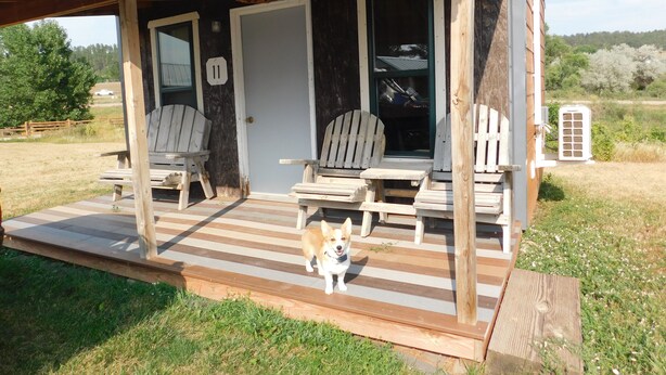 A wooden structure with a porch, two Adirondack chairs, a dog, and a sign reading 'Mays Corner.' - May's Corner Cabin (Sturgis)