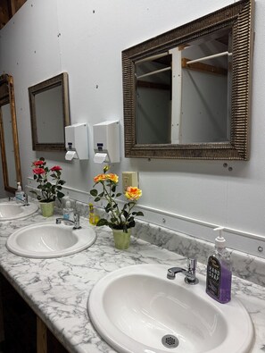 Un baño con tres lavamanos, cada uno con un espejo encima. Hay plantas en macetas con flores sobre el mostrador.