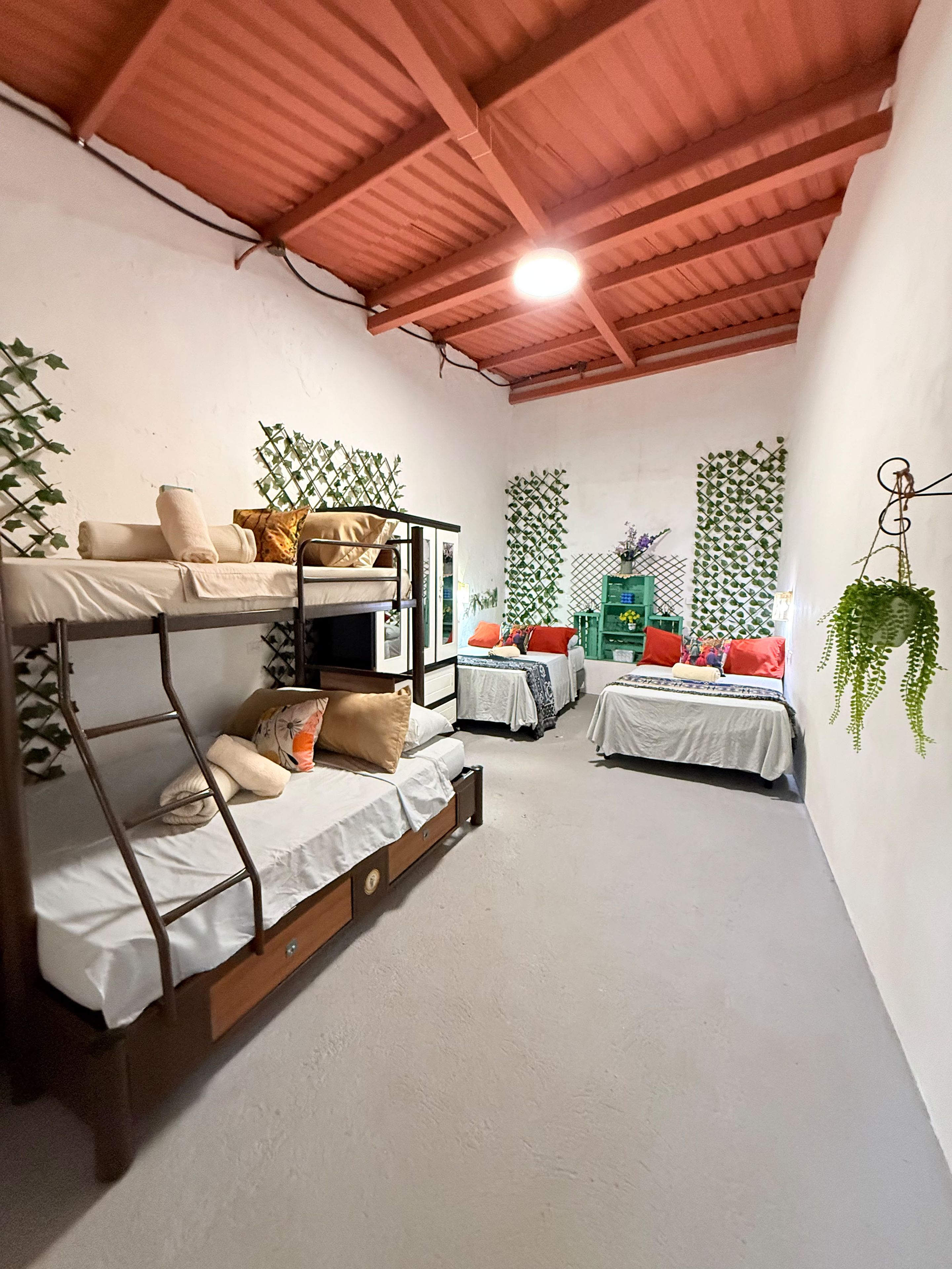 A dormitory room with bunk beds, a ceiling fan, and green plants.