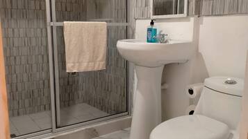 A bathroom with a glass shower enclosure, a white sink, and a toilet.