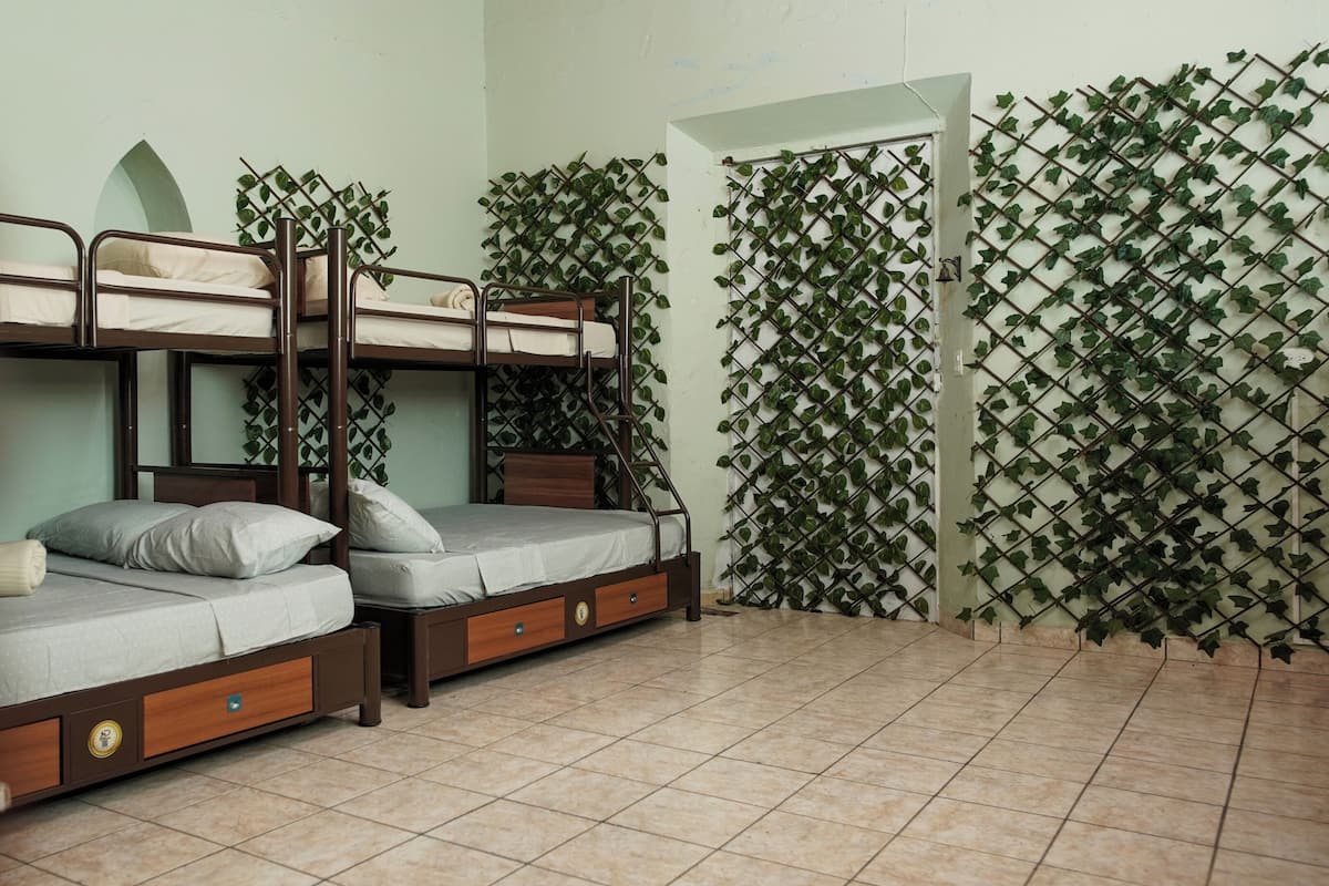 Economy Shared Dormitory, Mixed Dorm, Courtyard View