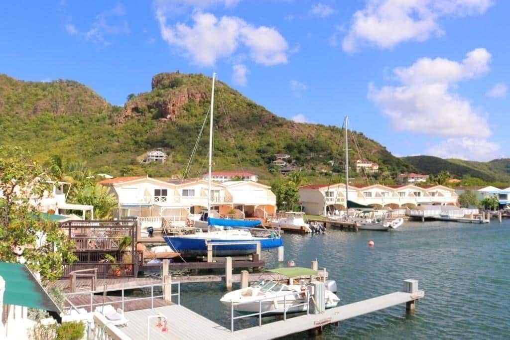 A marina with boats docked, a dock, and houses in the background.