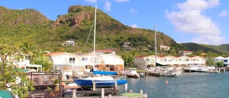 A marina with boats docked, a dock, and houses in the background.