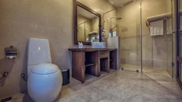 Hair dryer, towels, shampoo