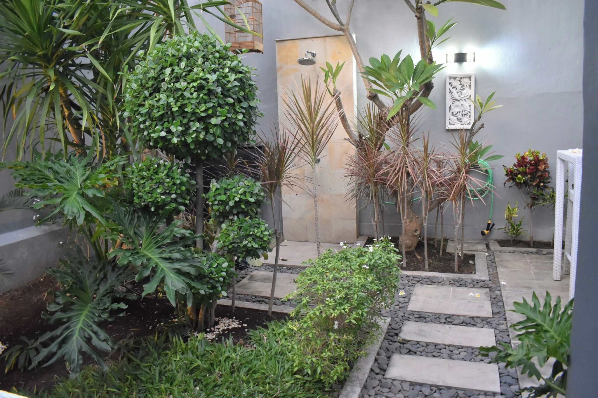 A garden with a variety of plants, a stone pathway, and a door.