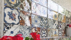 Pared de azulejos con diseños elaborados y una planta en maceta con flores rojas.