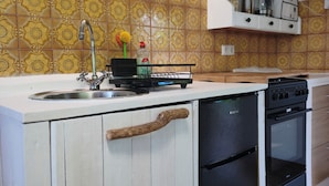 Una cocina con un lavamanos, escurreplatos, estufa y horno.
