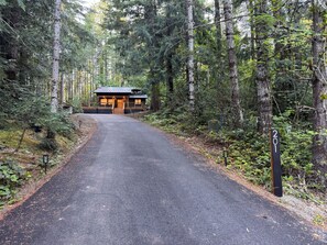 Ein bewaldetes Gebiet mit einem Blockhaus am Ende eines befestigten Weges.
