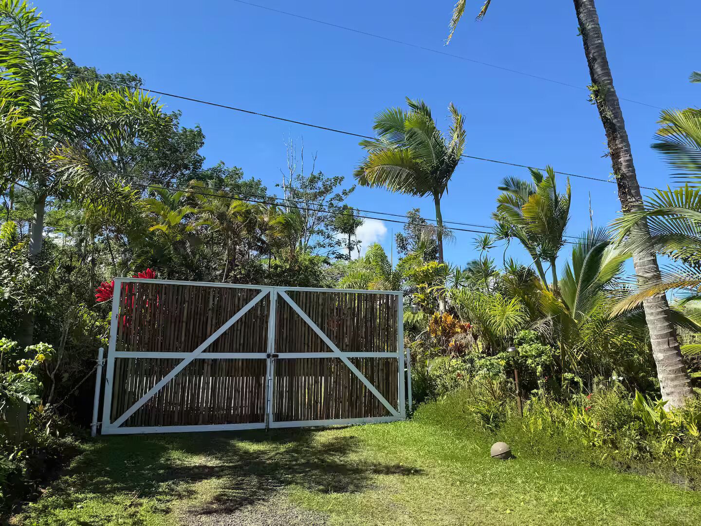 A gated area with a wooden fence, surrounded by lush greenery and palm trees.