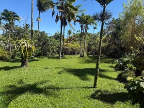 Un jardin luxuriant, avec différentes espèces d’arbres et une pelouse bien entretenue.