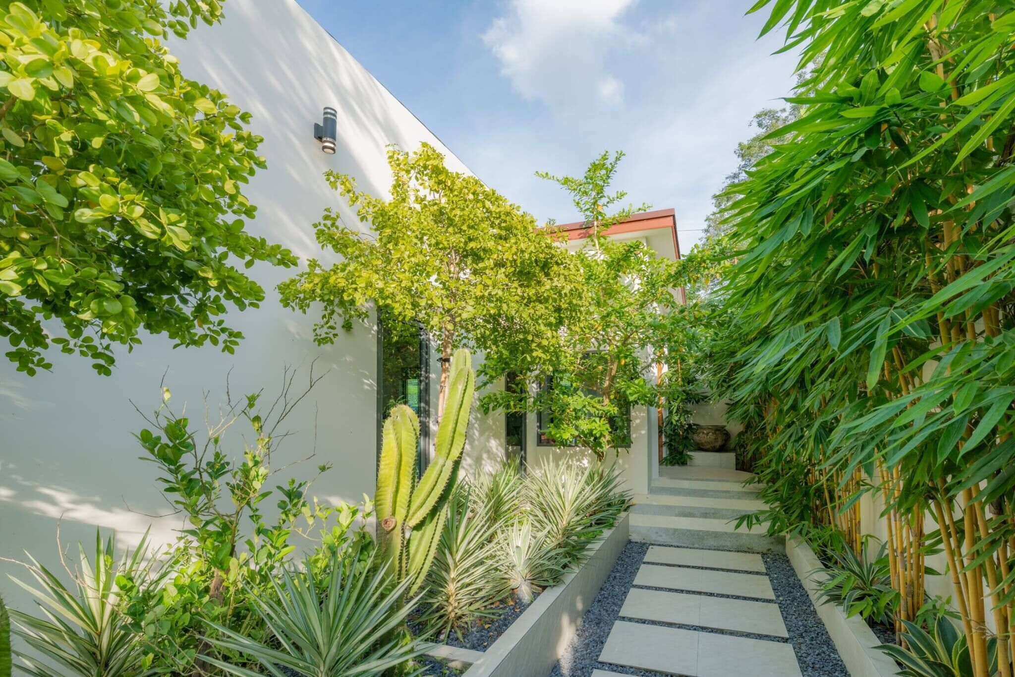 A narrow pathway flanked by lush greenery and a white building with a modern design.