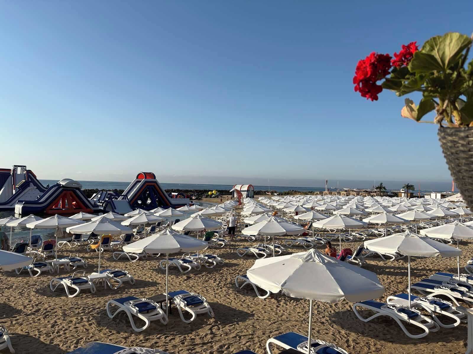 A beach with numerous white umbrellas and lounge chairs arranged for sunbathing.