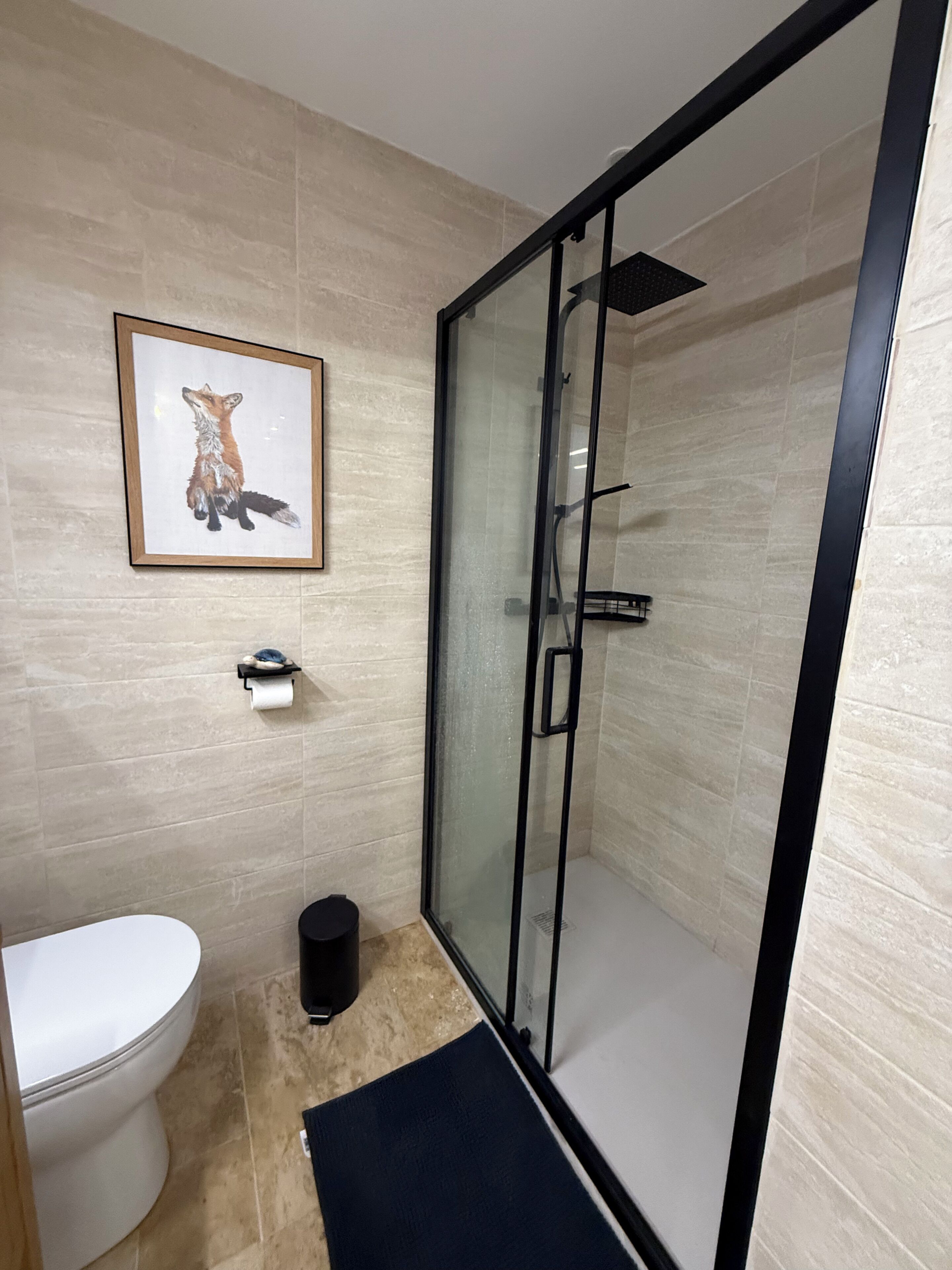 Une salle de bain avec une douche à parois de verre, des toilettes et un tableau encadré au mur.