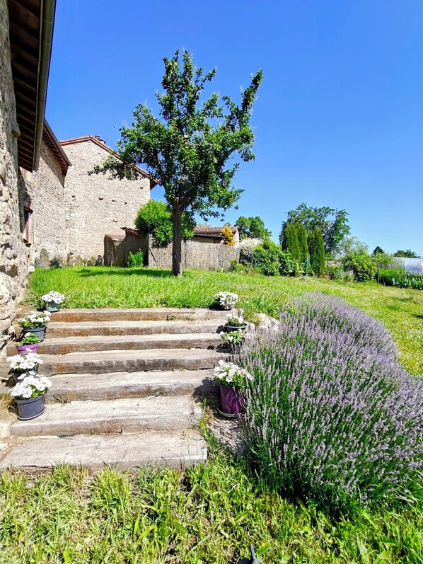 A stone building with a staircase leading to a door, surrounded by grass and lavender plants.