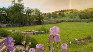 A garden with purple flowers and a rainbow in the background.