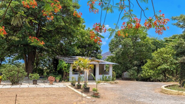 Un piccolo edificio bianco con tetto in lamiera ondulata, immerso nel verde e circondato da alberi in fiore.