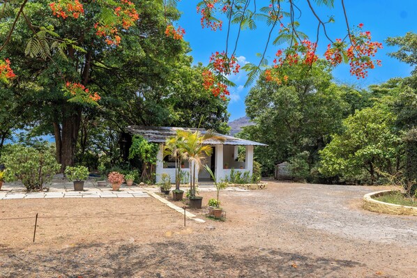 A small white building with a corrugated metal roof, surrounded by lush greenery and flowering trees.